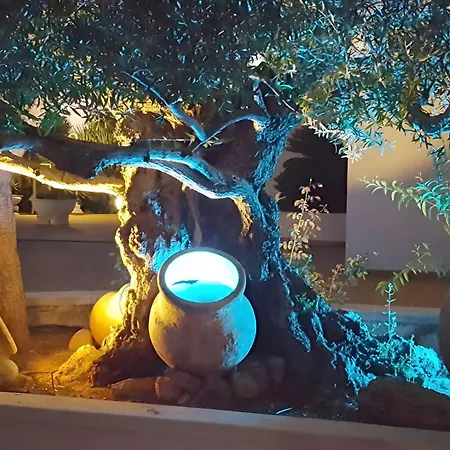 Oasis