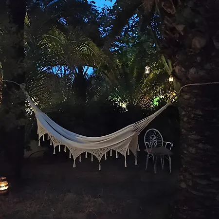 فيلة Oasis
