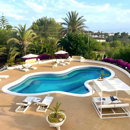 Oasis فيلة