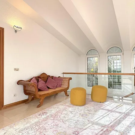 فيلة Oasis