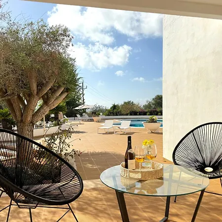 Oasis فيلة *